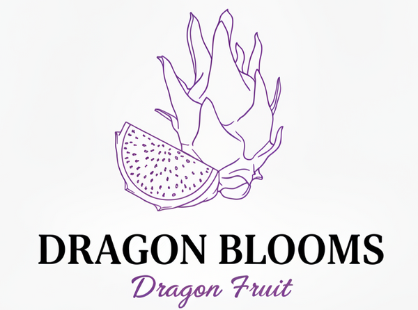 Dragon Blooms Dragon Fruit